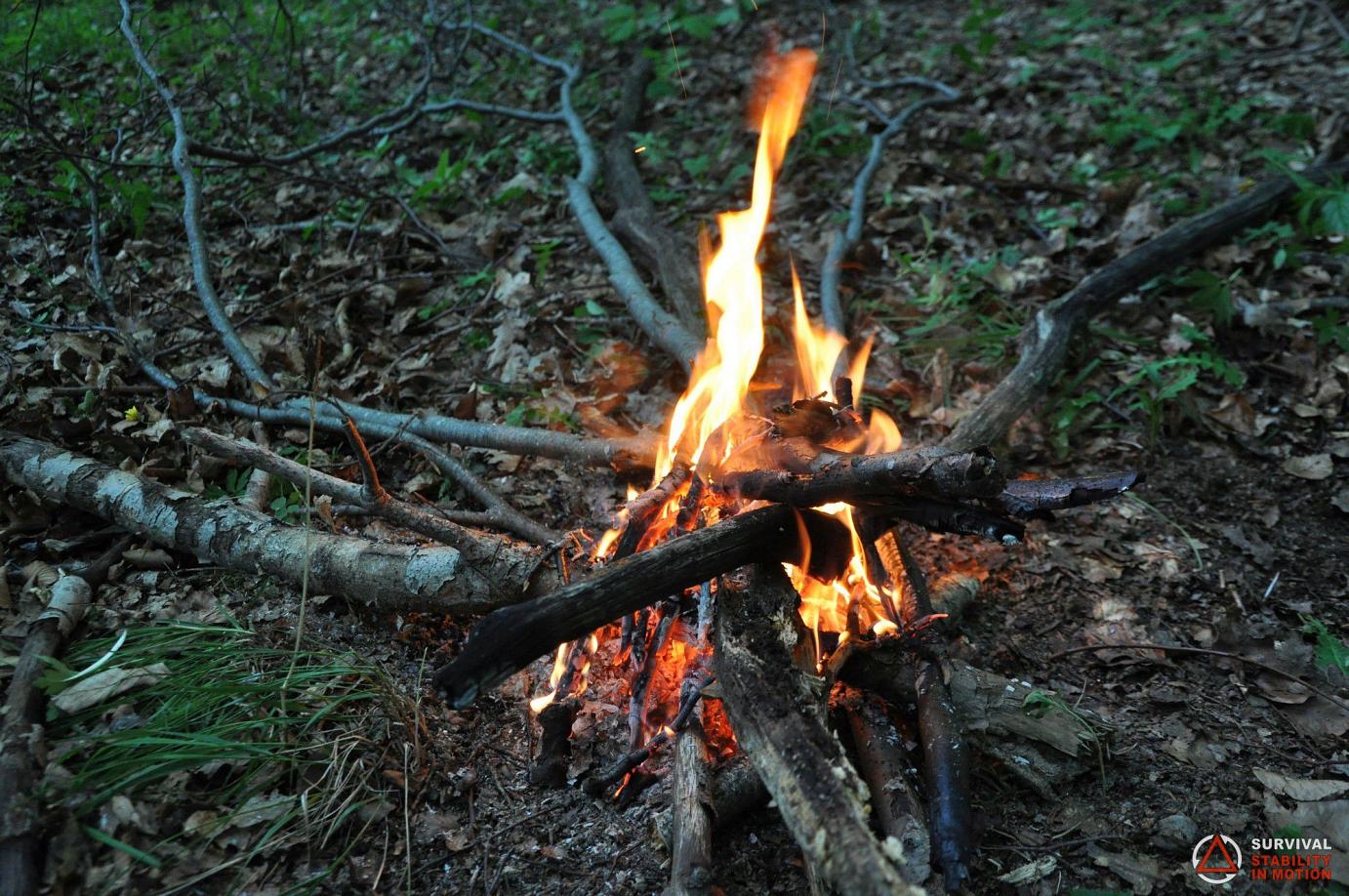 Supraviețuire în Natură