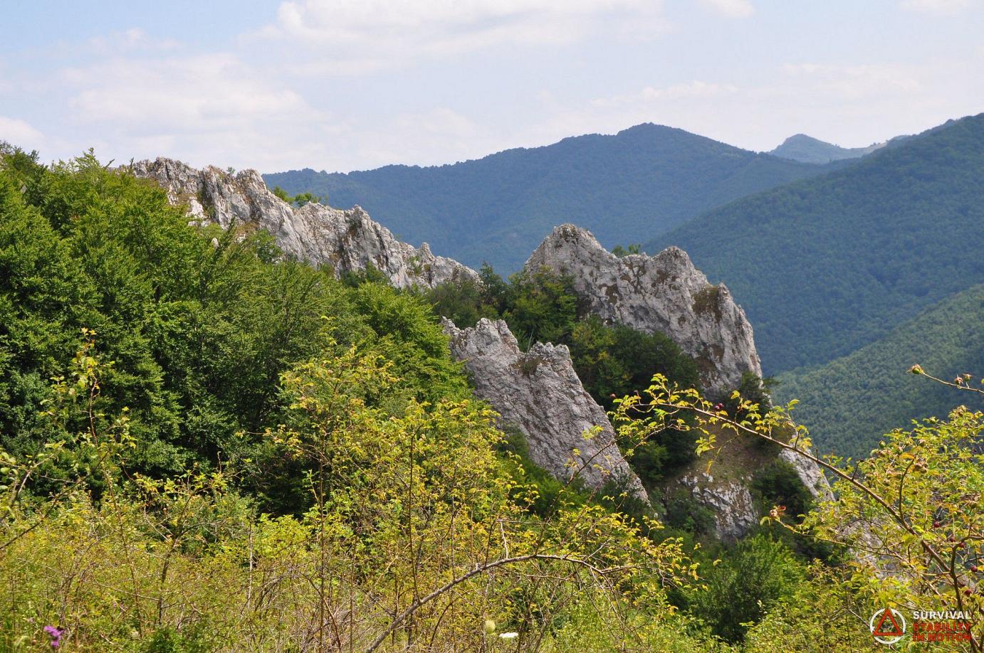 Supraviețuire în Natură