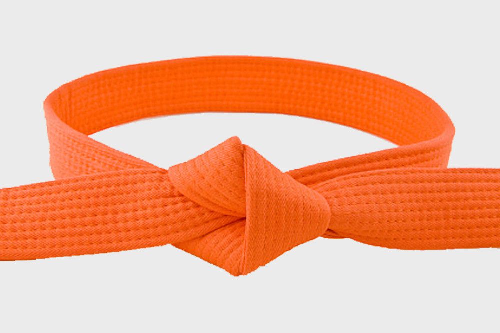 Curs Anual - anul 1 Începători