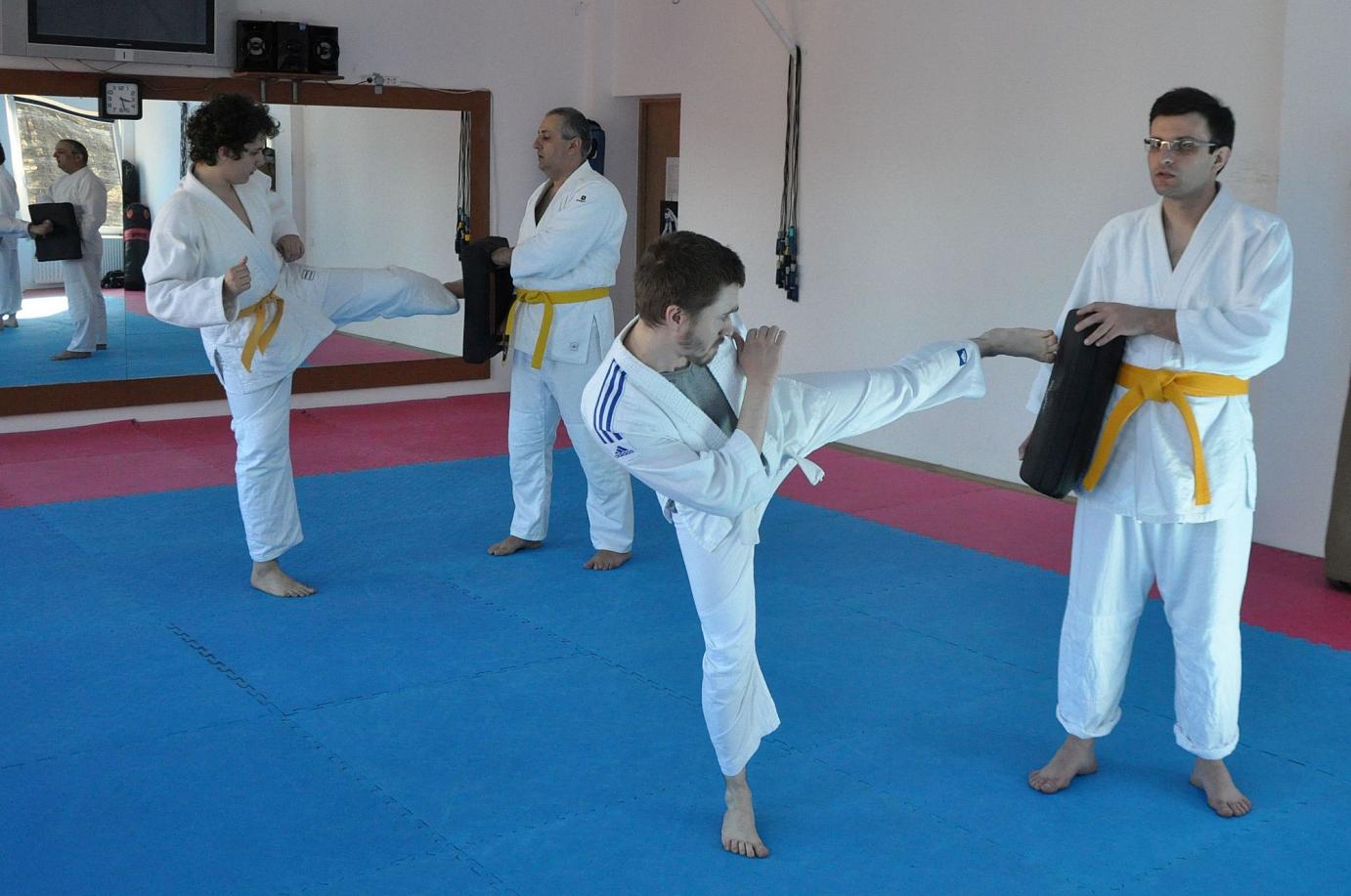 Curs Anual Începători - centura portocalie