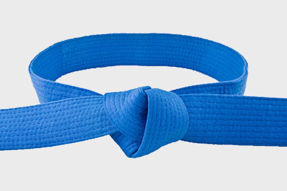 Curs Anual Intermediari - centura albastră și diploma de instructor