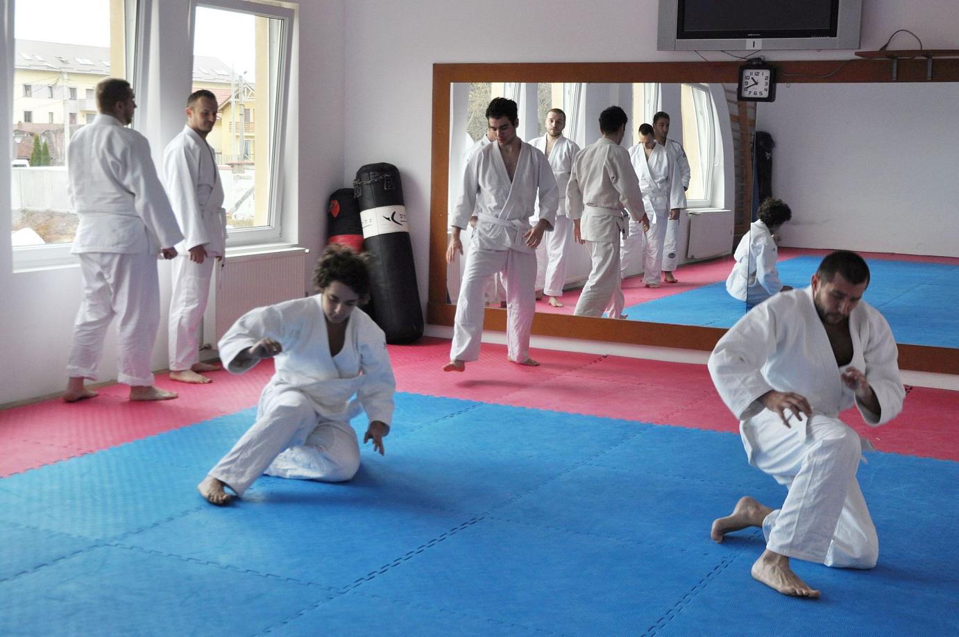 Curs Anual Intermediari - centura albastră și diploma de instructor