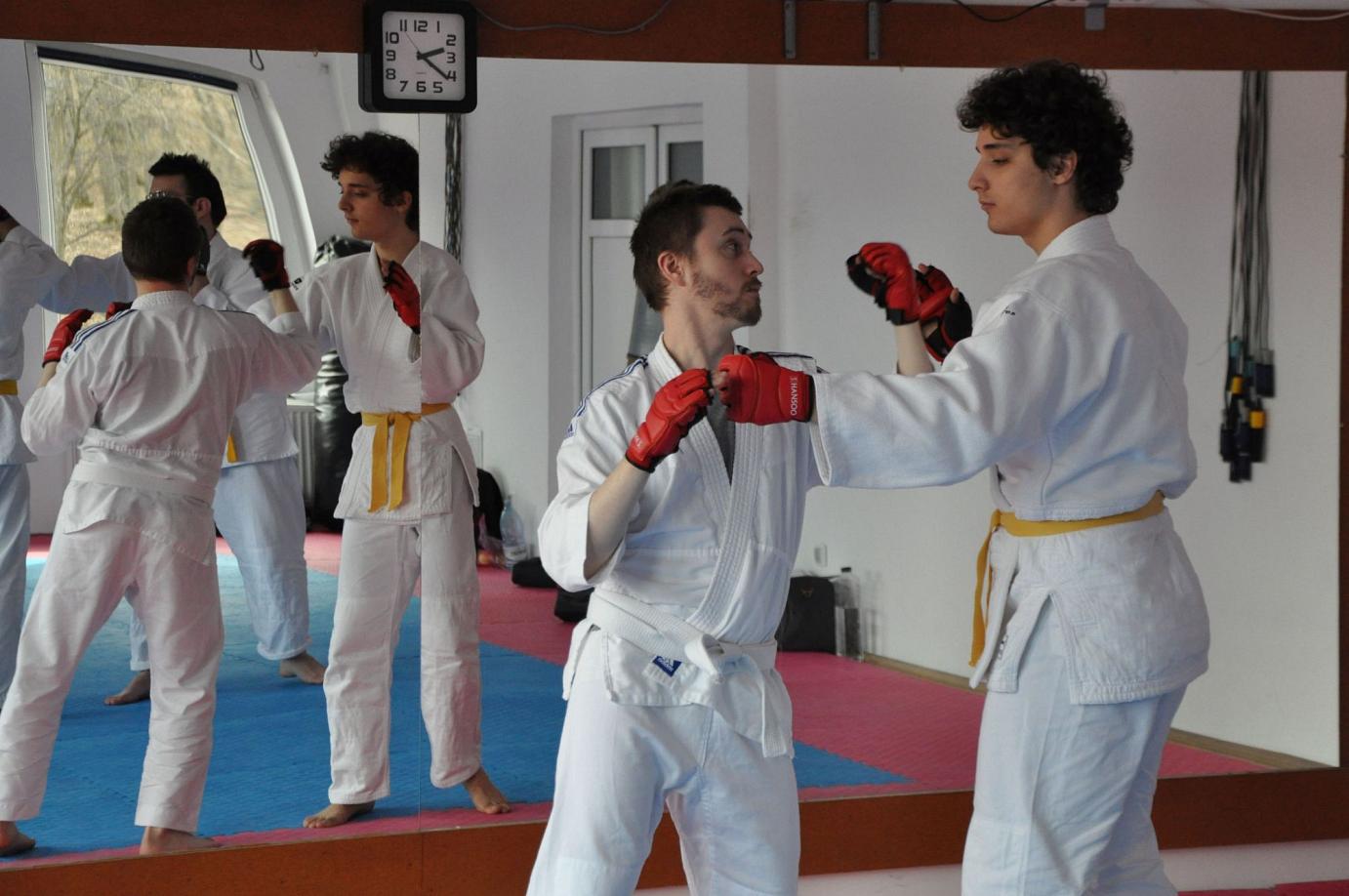 Curs Anual Intermediari - centura albastră și diploma de instructor