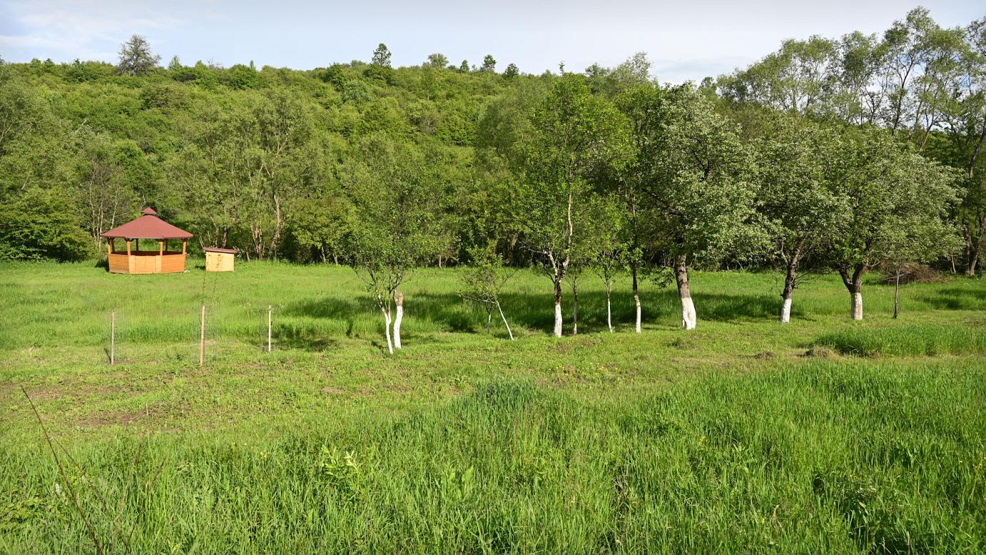 Tabără Krav-Maga în Natură: Încredere și Siguranță – AUGUST 2026