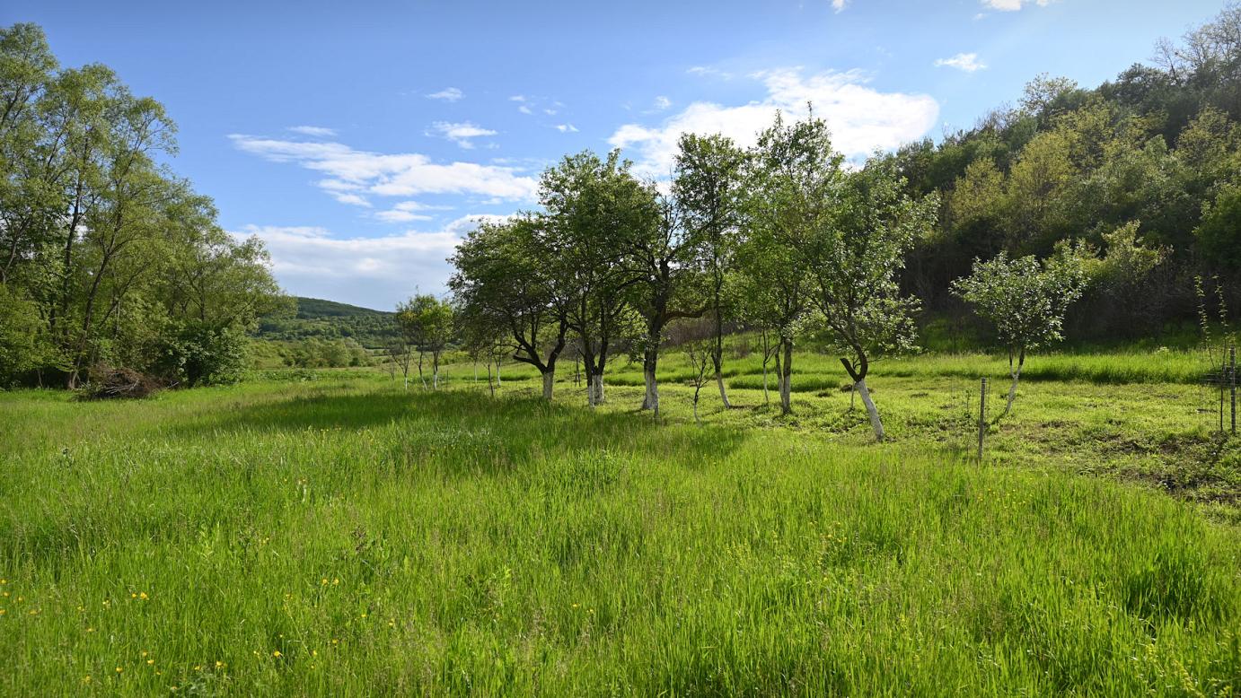 Tabără Krav-Maga în Natură: Încredere și Siguranță – AUGUST 2026