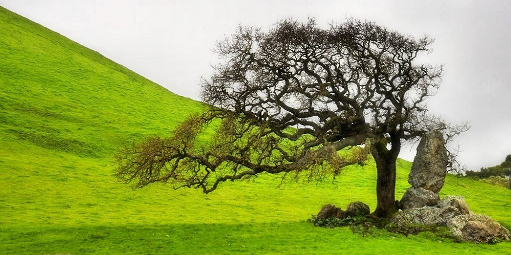 Ca să devii puternic trebuie să îți accepți vulnerabilitatea