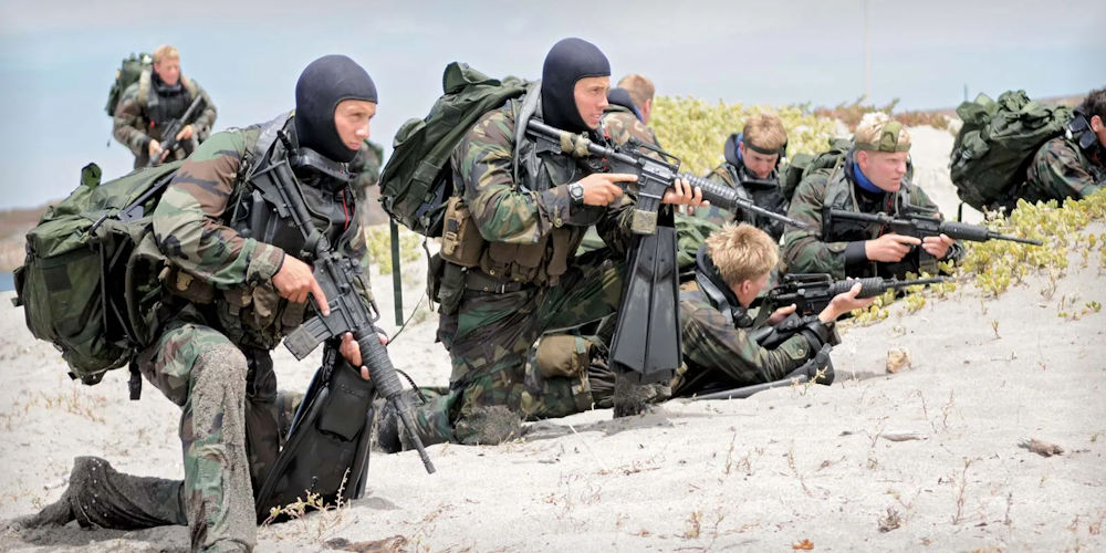 Care sunt artele marțiale practicate de Navy SEALs?