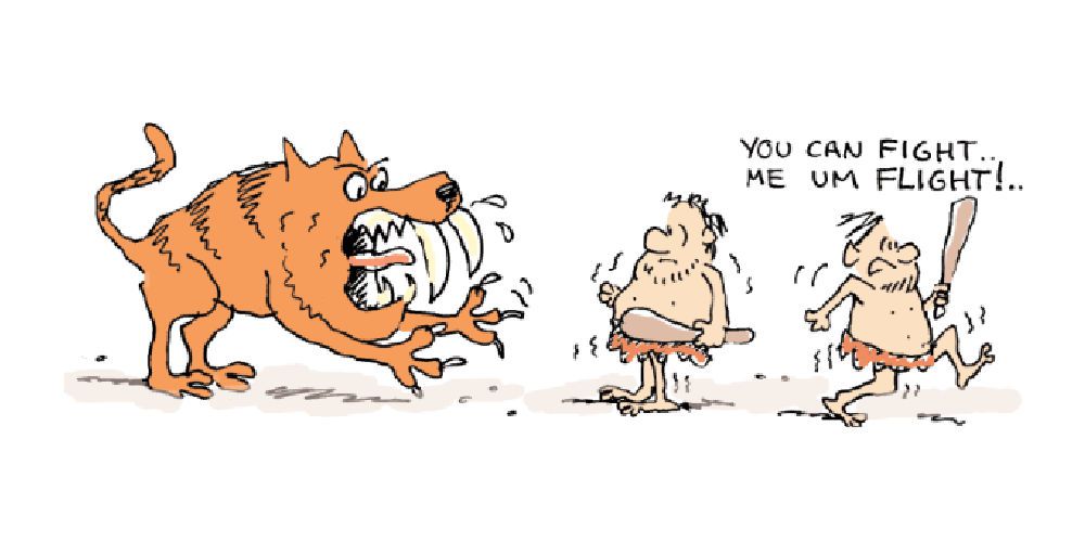 Cele 5 răspunsuri instinctive la agresiunile interumane