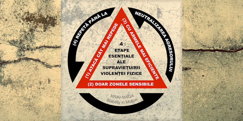 4 etape esențiale ale supraviețuirii violenței fizice