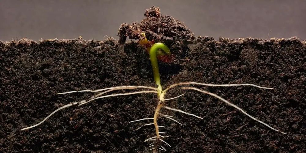 Frică - Curaj - Experiență - Încredere - Rezultate