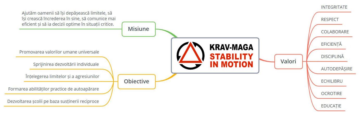 Misiune, obiective și valori